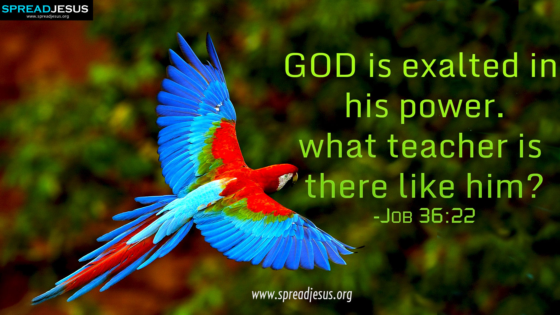 Biblical Quotes Wallpaper. QuotesGram Biblical Quotes Wallpaper. QuotesGram