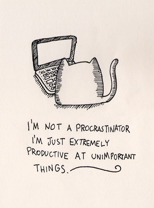 Funny Cat Quotes With Drawings. QuotesGram Funny Cat Quotes With Drawings. QuotesGram