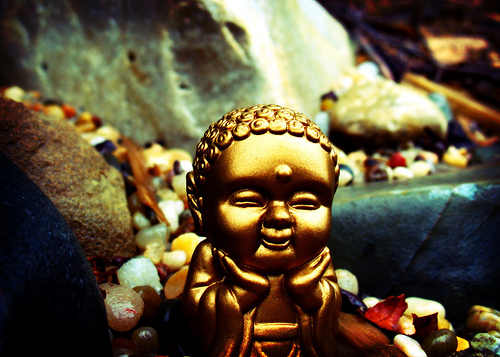 Tiny Buddha Quotes. QuotesGram