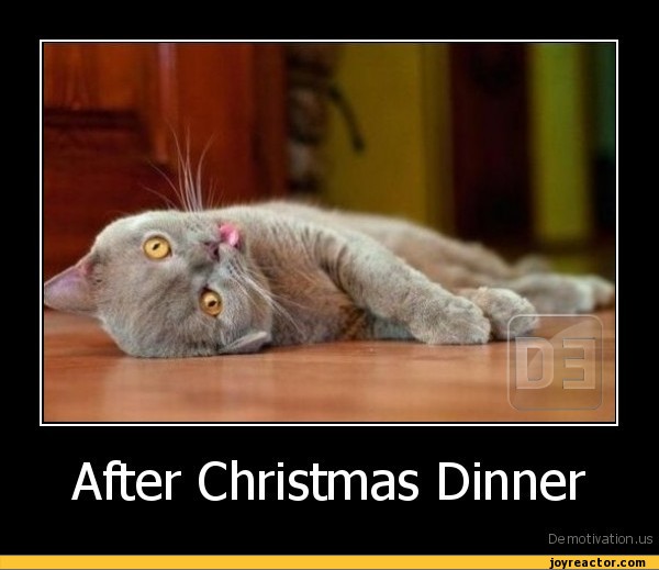 After Christmas Funny Quotes QuotesGram