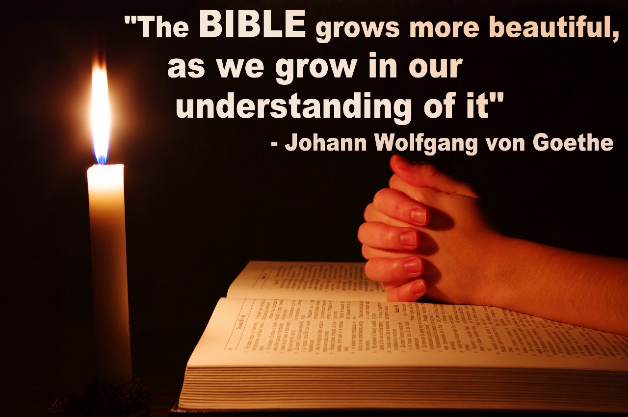 Quotes About Studying The Bible. QuotesGram