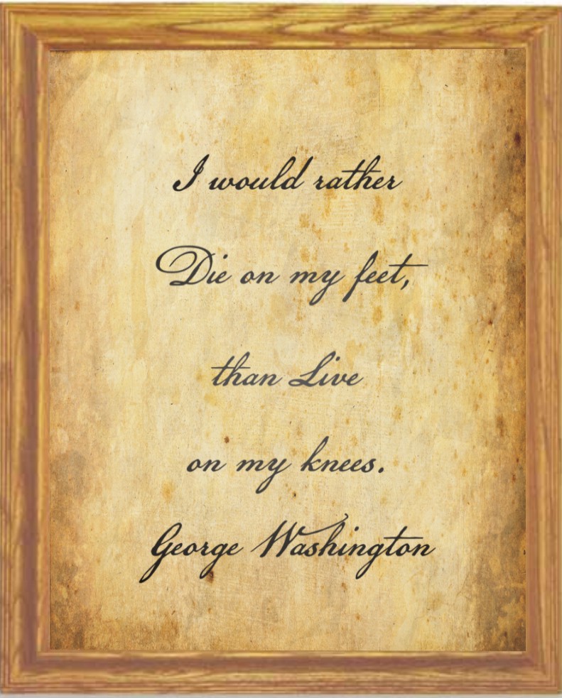 Declaration Of Independence Freedom Quotes. QuotesGram