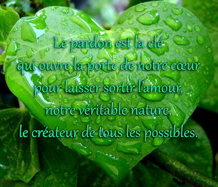 Pardons Quotes Quotesgram
