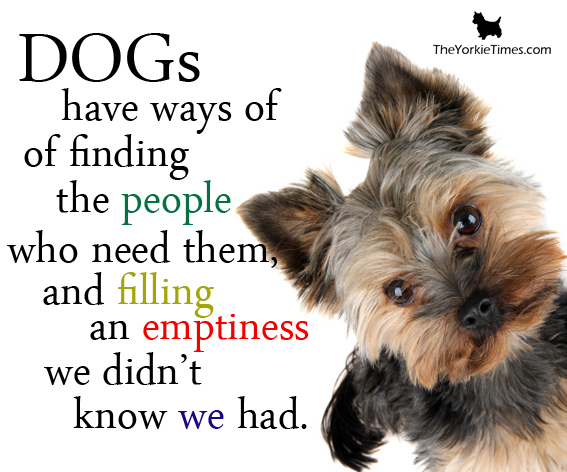 Who Wrote The Quote A Dog Is Man S Best Friend Who Wrote The Quote A Dog Is Man S Best Friend