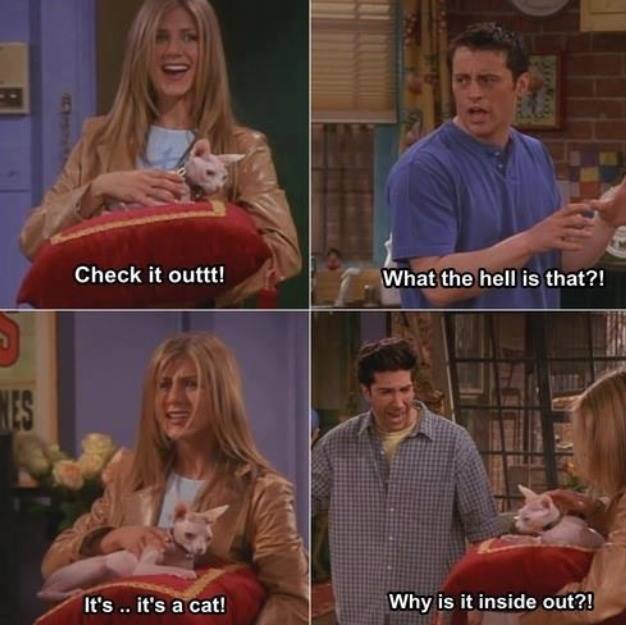 Funny Friends Tv Quotes. QuotesGram