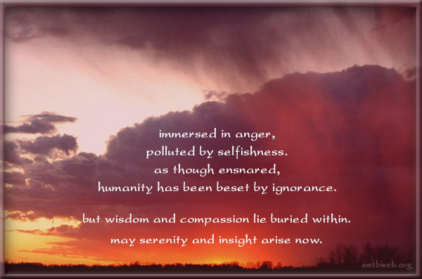 Inspirational Quotes About Compassion. QuotesGram