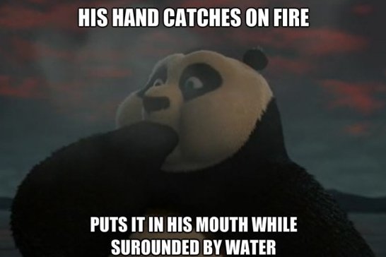 Panda Funny Quotes And Sayings Quotesgram