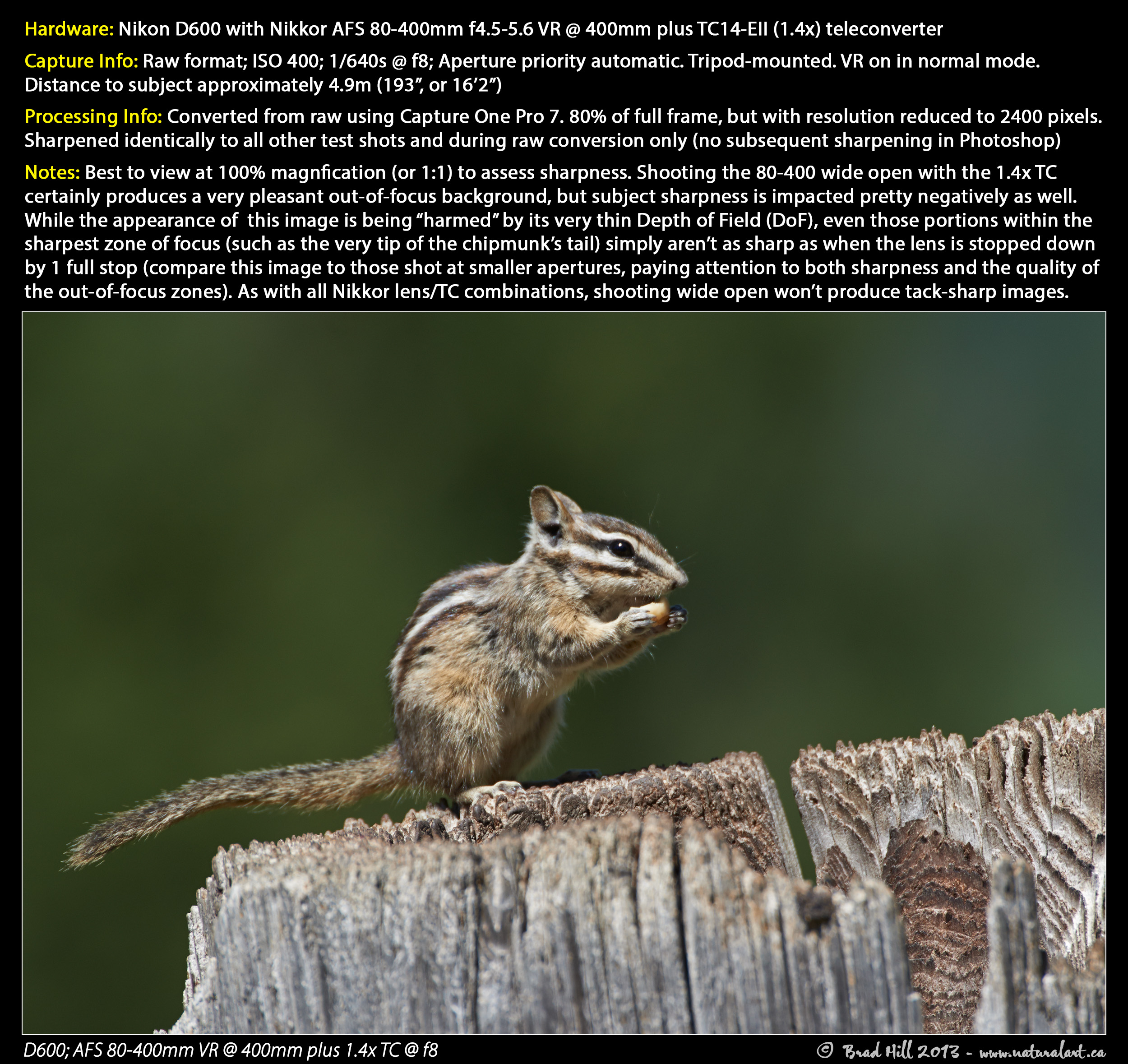 My Image 27