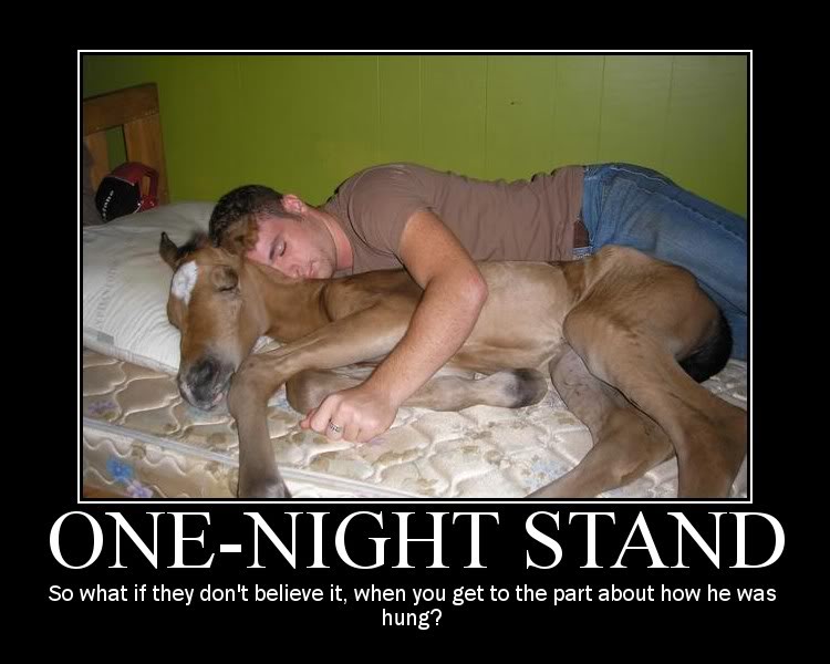 Funny Quotes One Night Stand. QuotesGram