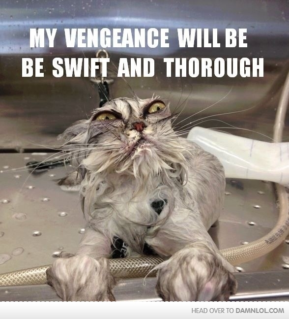 Funny Irritated Quotes QuotesGram funny-irritated-quotes-quotesgram