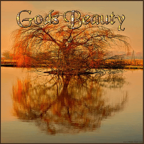 Gods Beauty In Nature Quotes. QuotesGram