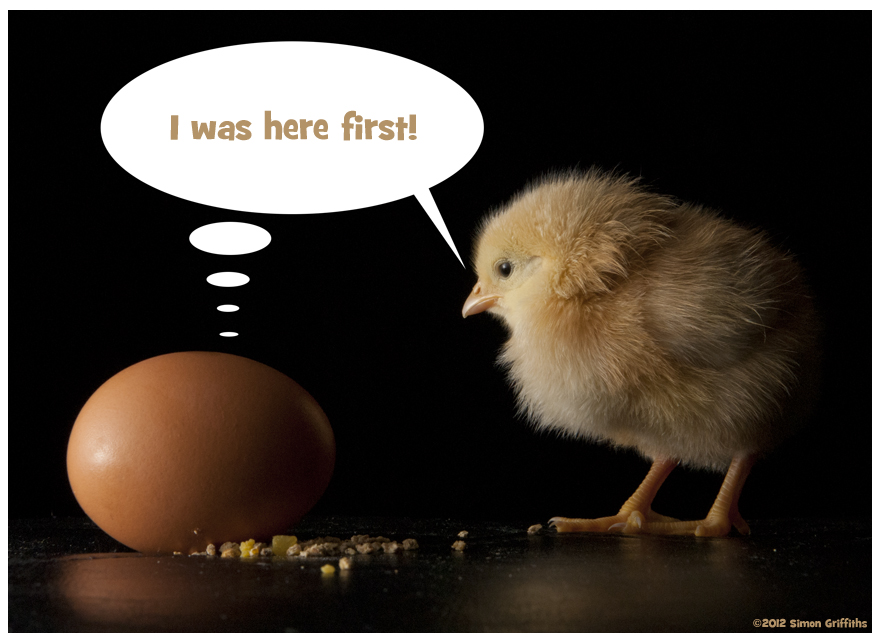 Chicken And Egg Quotes. QuotesGram