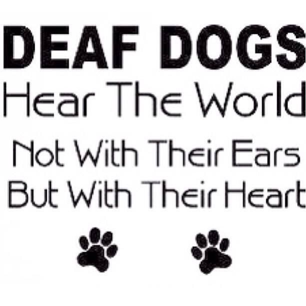 Quotes About Deaf Culture QuotesGram Quotes About Deaf Culture QuotesGram