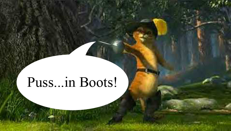 Puss In Boots Shrek Quotes. QuotesGram