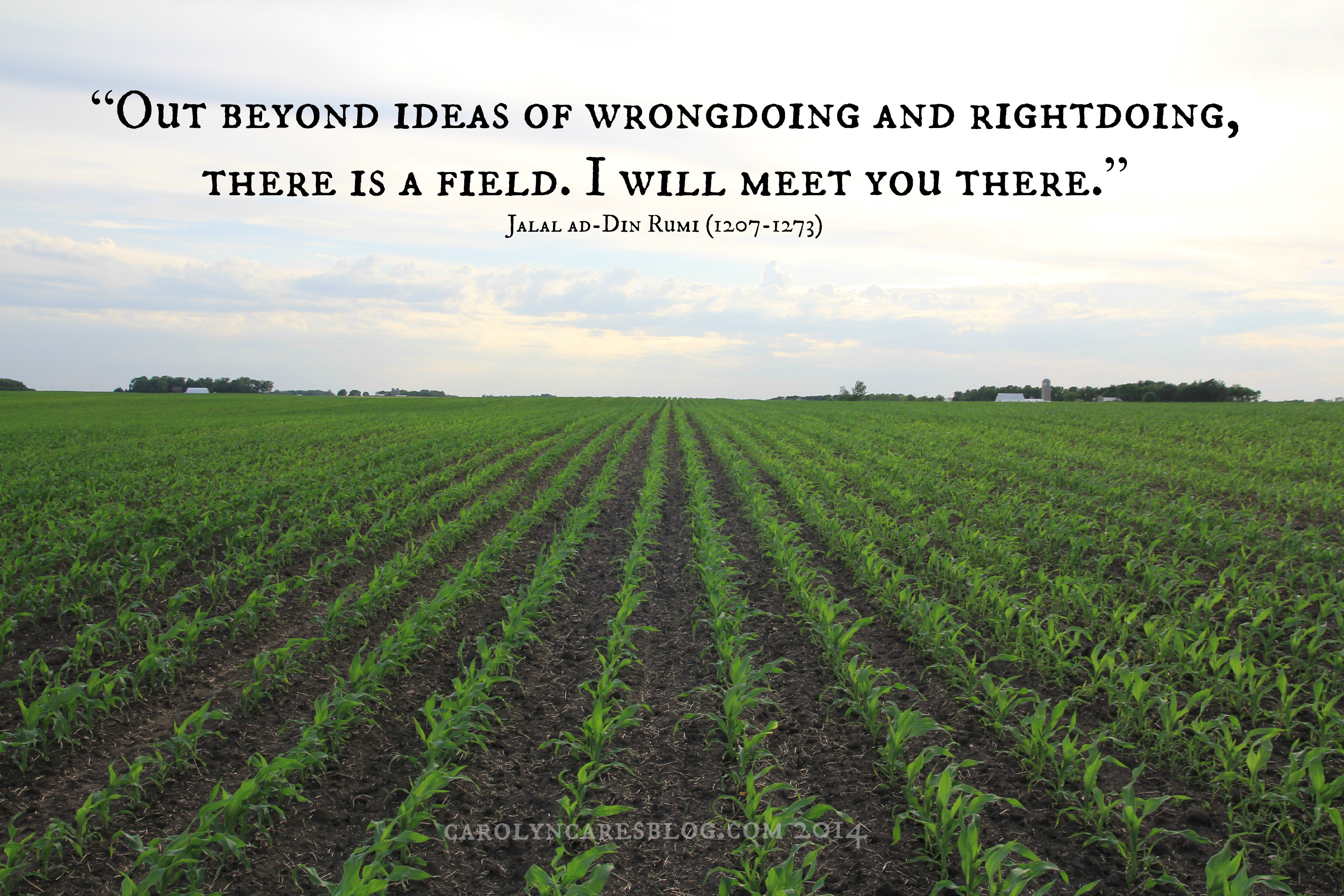 Grounds quotes quotesgram