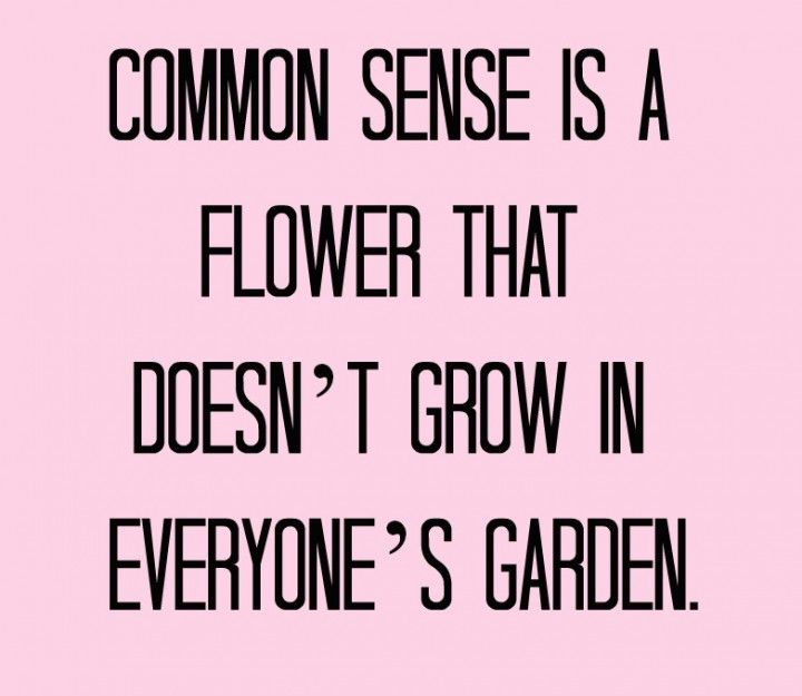 common-sense-funny-quotes-quotesgram