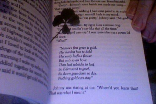 Ponyboy Quotes And Page Number QuotesGram 1456761444 Tumblr M7p5fp4dHx1qaswrw