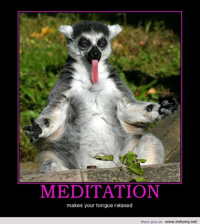Funny Meditation Quotes. QuotesGram