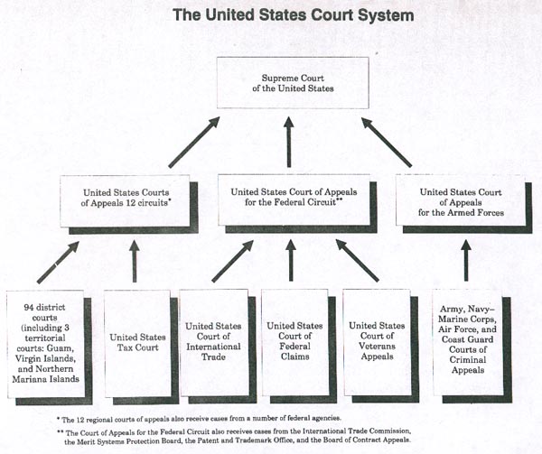 The Judicial System And Prison System