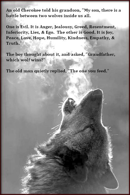 Feed The Wolf Quote Anger Feeds Inside Me Quotes. Quotesgram