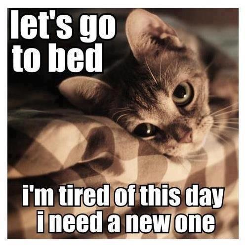 Im So Tired Funny Quotes QuotesGram