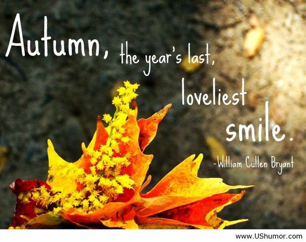 Funny Autumn Quotes. QuotesGram