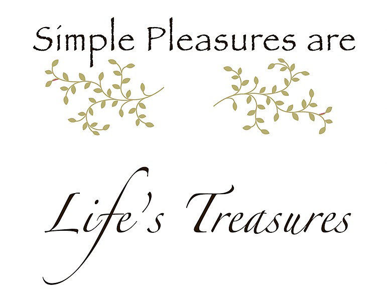 Lifes Simple Pleasures Quotes.