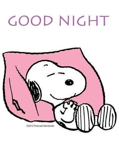 Funny Quotes Snoopy Good Night Quotesgram Funny Quotes Snoopy Good Night Quotesgram
