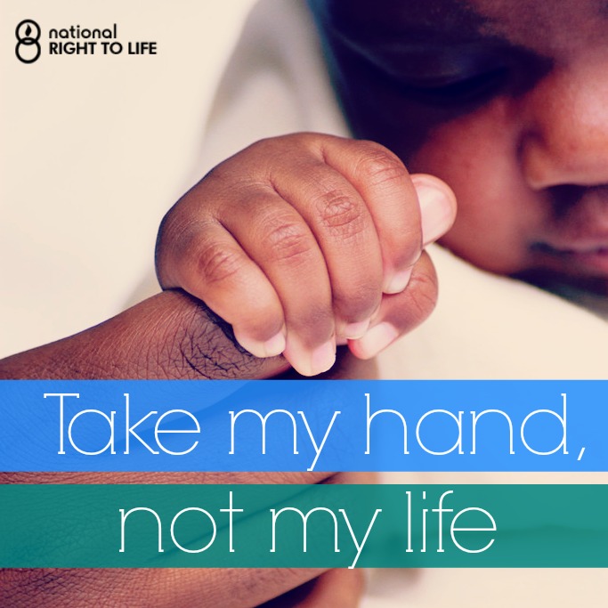 Take My Hand Quotes - Love Quotes Hold My Hand. QuotesGram : [elsa