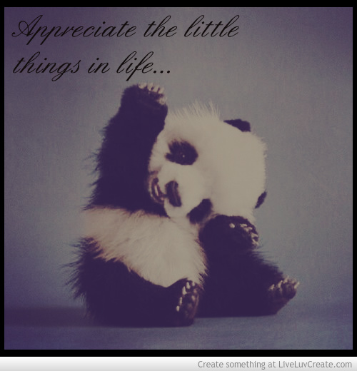 Appreciate The Little Things Quotes. QuotesGram