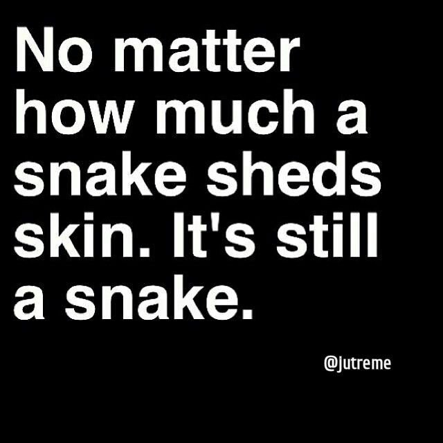 People Are Snakes Quotes. QuotesGram