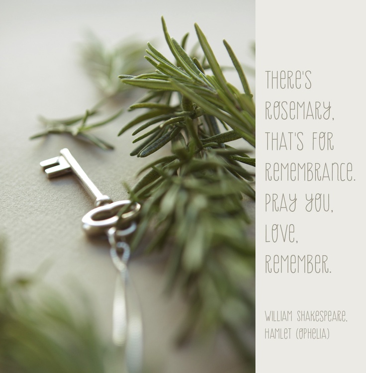 Hamlet To Ophelia Quotes Love. QuotesGram