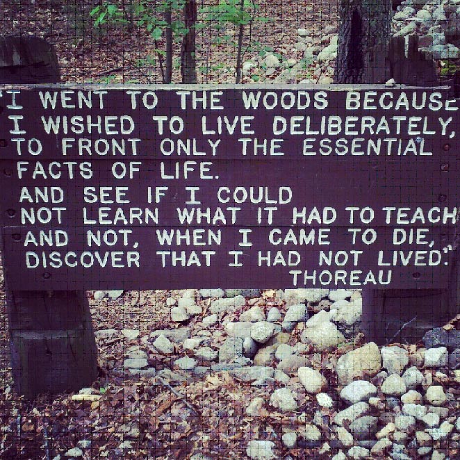 Cape Cod Thoreau Quotes. QuotesGram