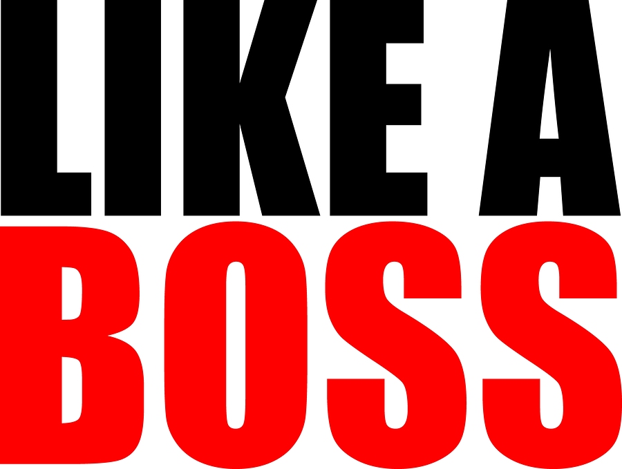 Like A Boss Quotes And Sayings. QuotesGram
