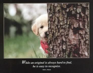 Facebook Quotes About Dogs. QuotesGram