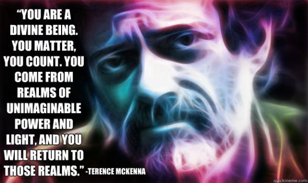 Terence McKenna Quotes. QuotesGram