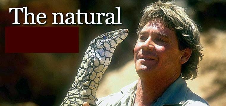 Steve Irwin Conservation Quotes About. QuotesGram