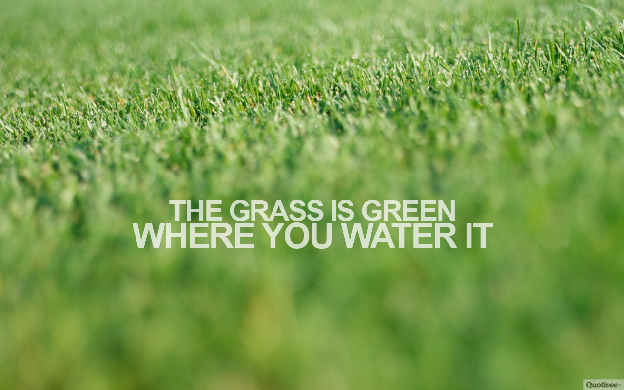 Funny Quotes About Grass Quotesgram