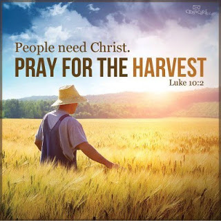 Bible Quotes About Harvest