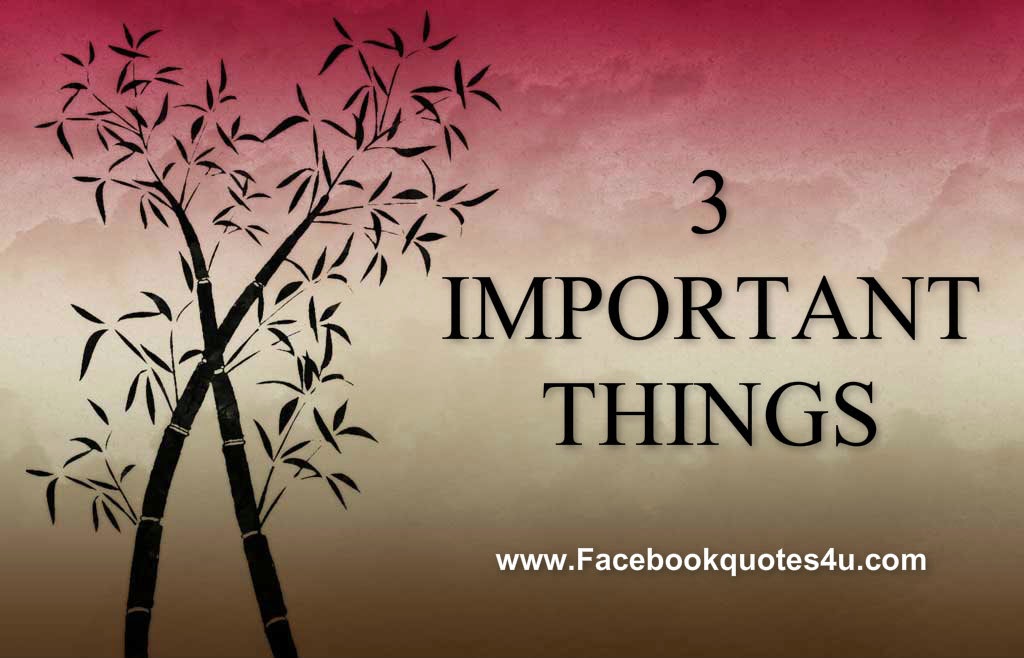 Important Things Quotes QuotesGram Important Things Quotes QuotesGram