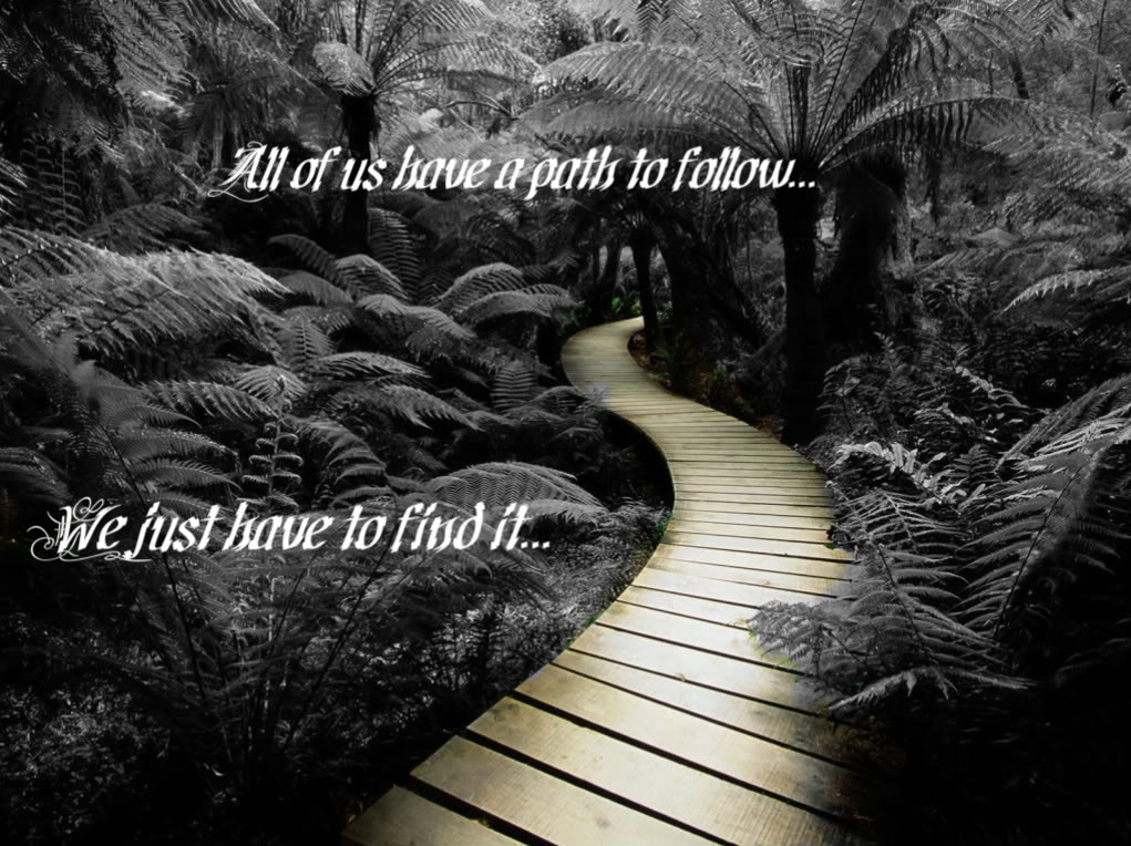 Inspirational Quotes About Wildlife. QuotesGram