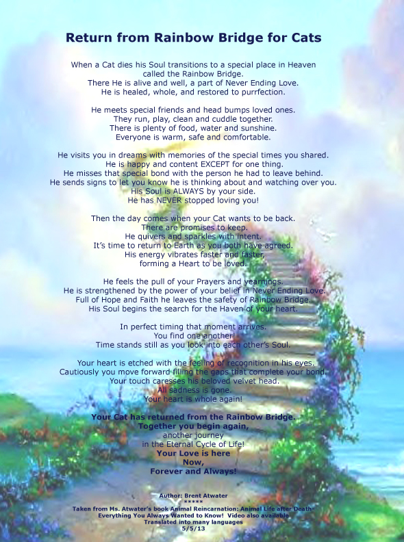Quotes About Cats And Heaven QuotesGram