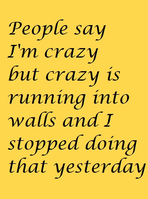 Im Not Crazy Funny Quotes Quotesgram
