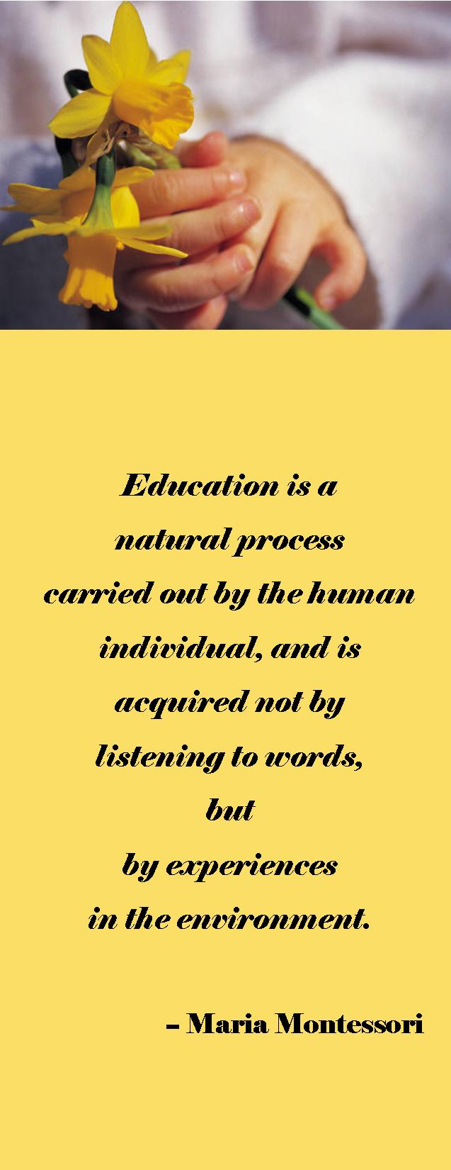 Teacher Quotes About The Environment. QuotesGram