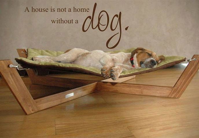 A Dog&rsquo;s Purpose Quote