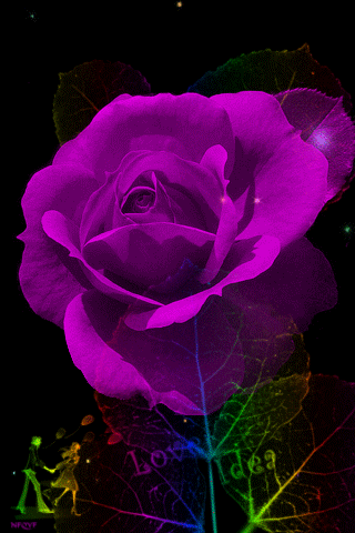 Quotes About Purple Roses. QuotesGram