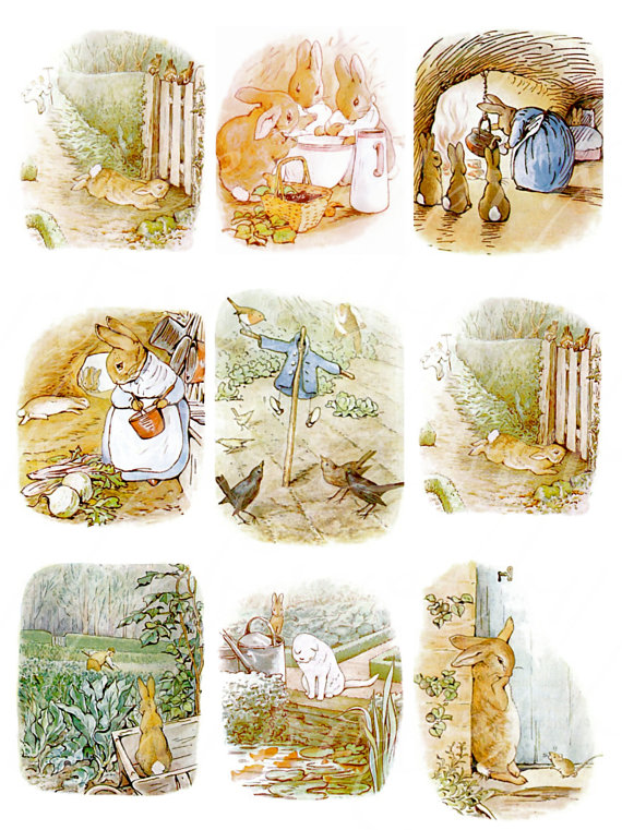 Tale Of Peter Rabbit Quotes. QuotesGram