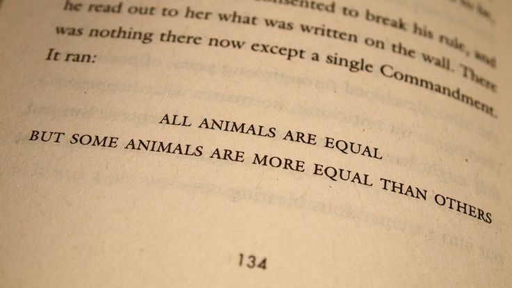 Quotes From Animal Farm. QuotesGram