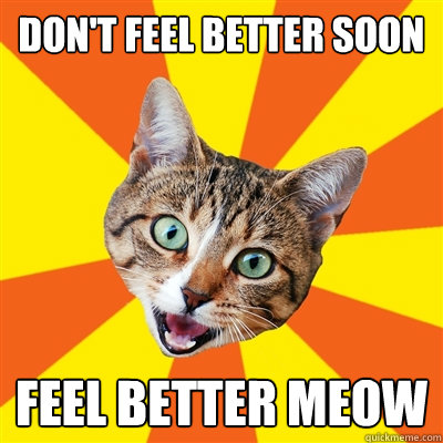 Hope You Feel Better Soon Quotes Cute Cats Quotesgram Hope You Feel Better Soon Quotes Cute Cats Quotesgram
