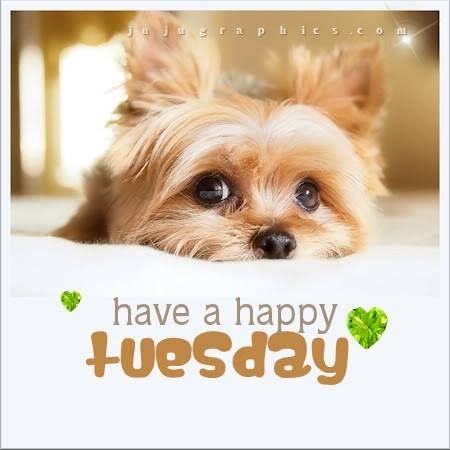 Happy Tuesday Quotes For Facebook. QuotesGram